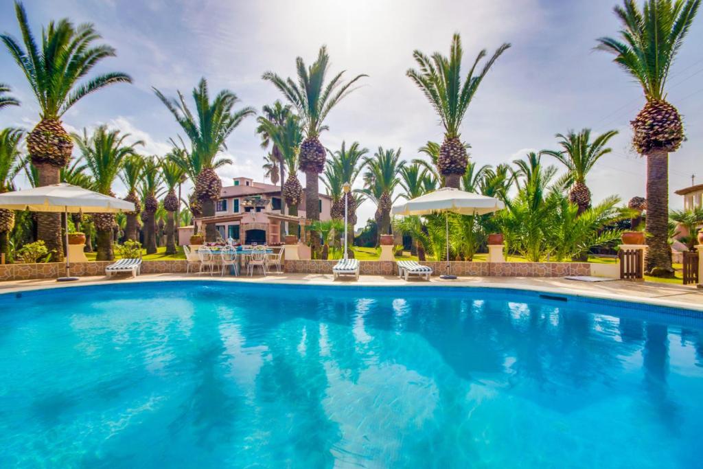 a swimming pool with palm trees and a house at Can Comaro in Alcudia