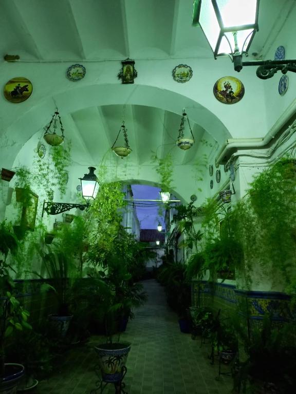 Charming House in Triana,best City View from Patio - 两居室房屋