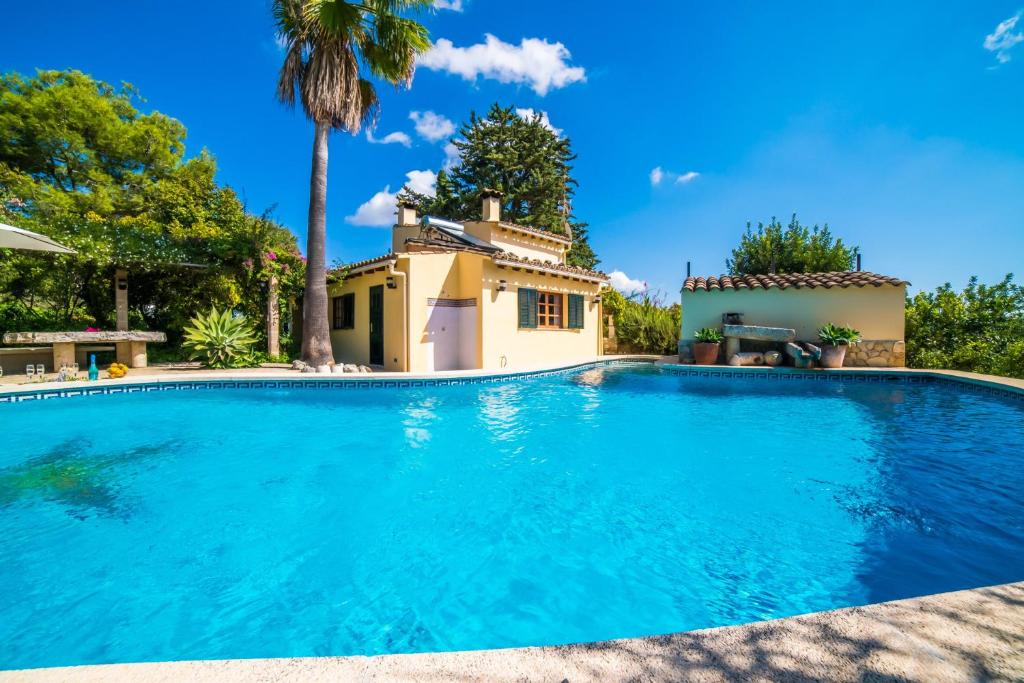 a swimming pool in front of a house with a palm tree at Ideal Property Mallorca - Patufa in Alcudia