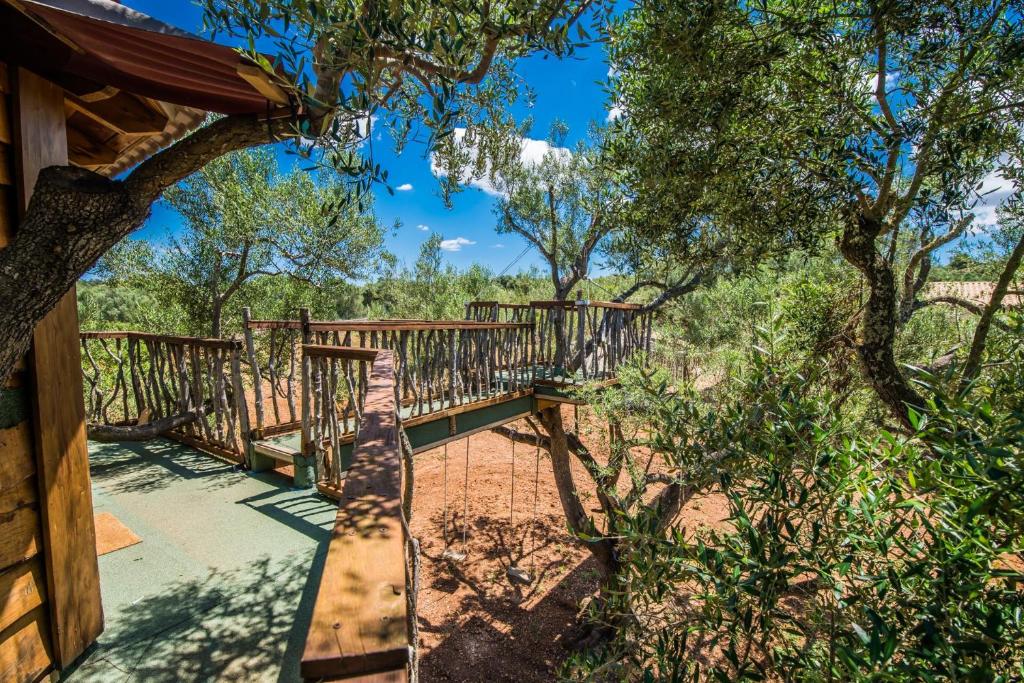 Zahrada ubytování Ideal Property Mallorca - Sa Canova d'Ariany