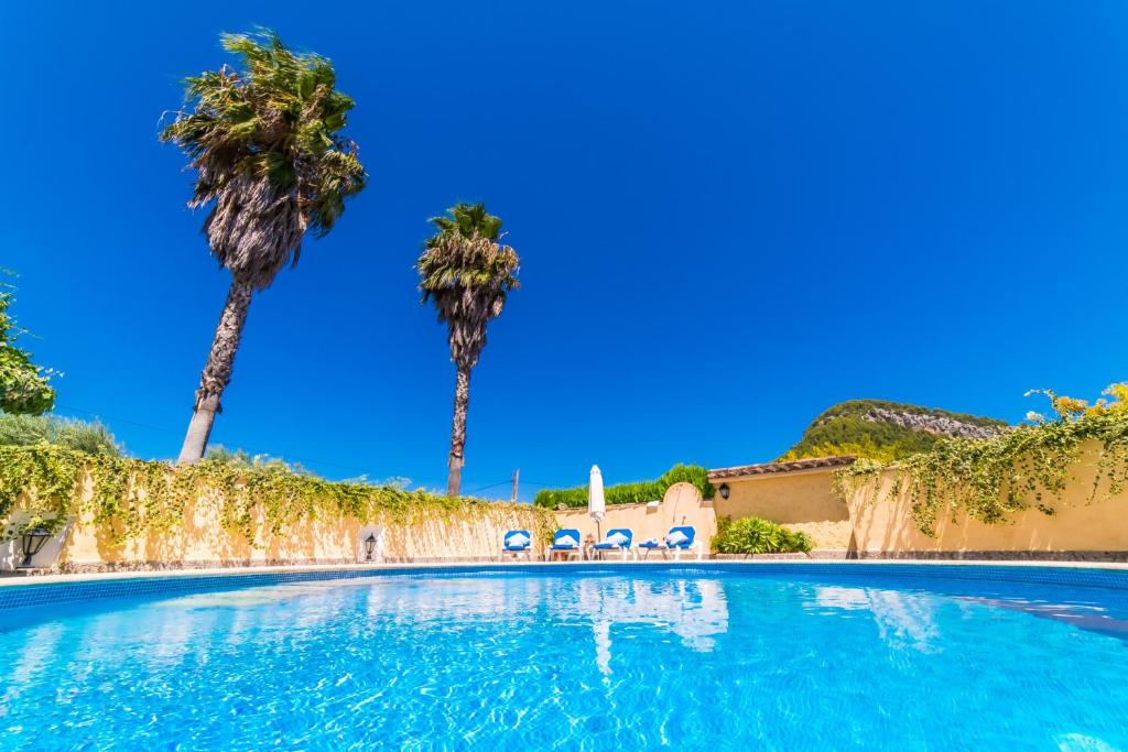 a swimming pool with palm trees and blue skies at Sort Llarga in Pollença