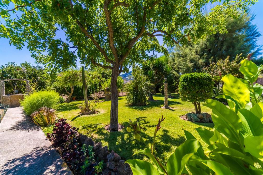 A garden outside Ideal Property Mallorca - Sort Llarga