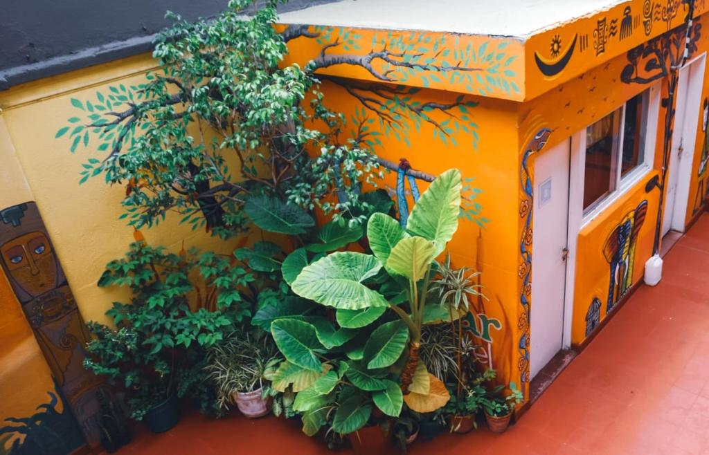 Zahrada ubytování Hostel Alvear