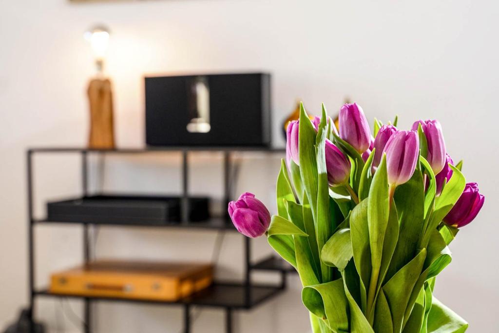 TV a/nebo společenská místnost v ubytování Ferienwohnung Eidum Strand