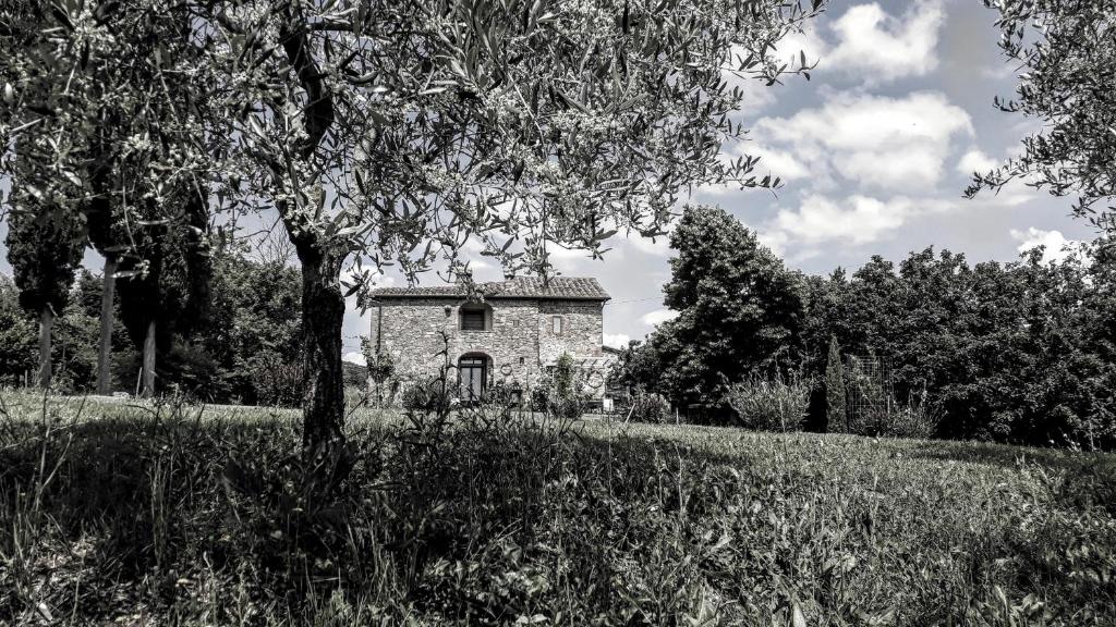 Zahrada ubytování Podere Pievina Delle Corti - Dimora di Campagna