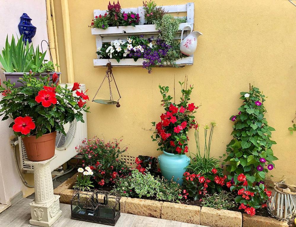 Zahrada ubytování Hotel Le Giare