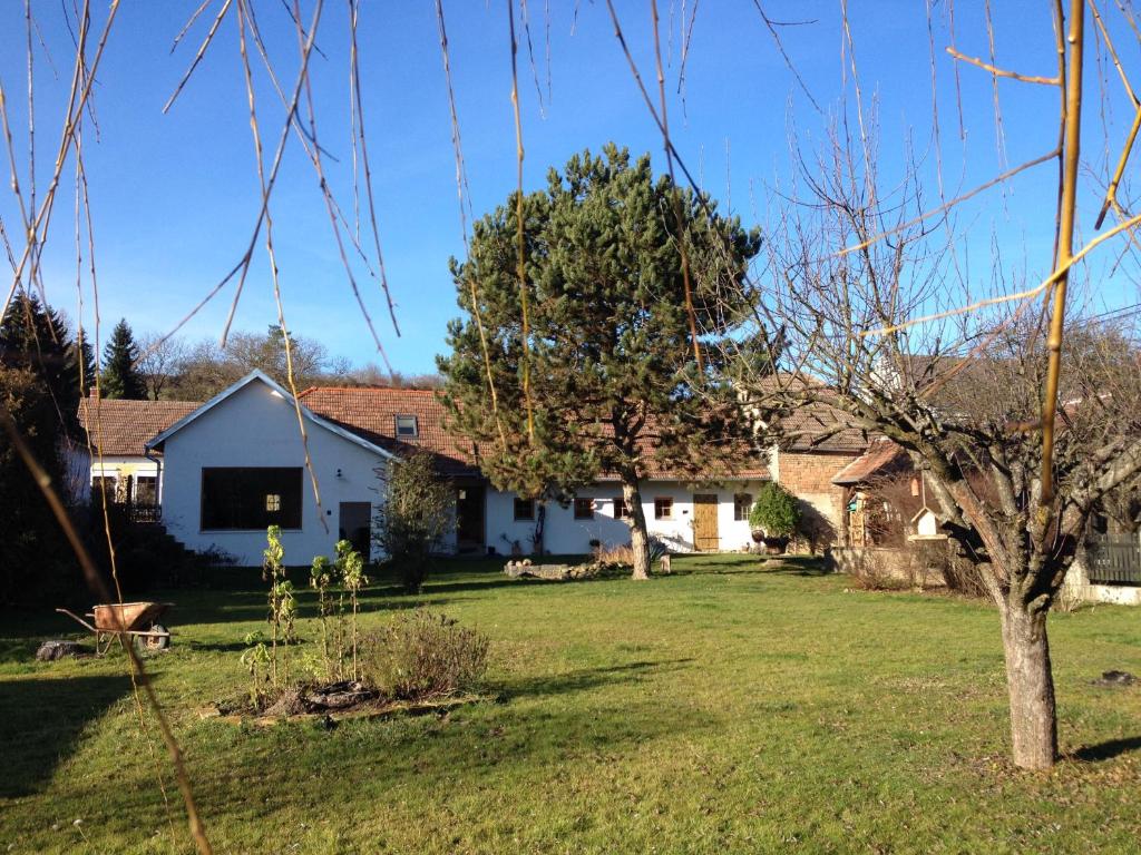 a house in a yard with a tree at HalterHausPuch in Puch