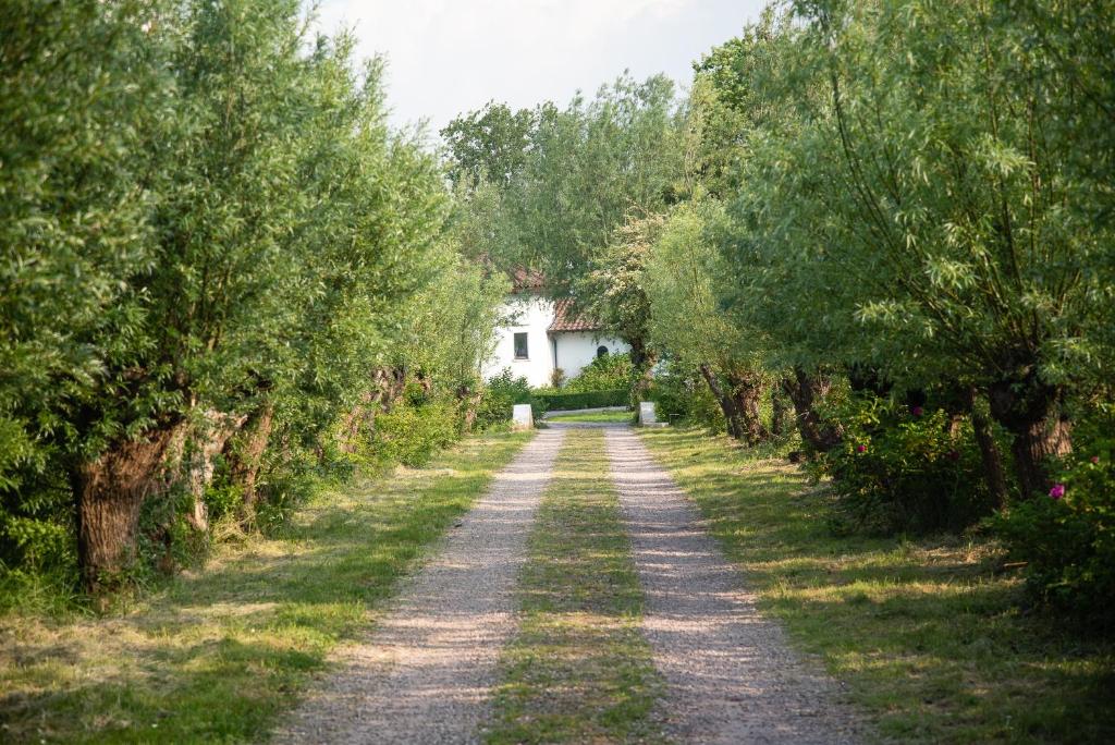 una strada sterrata con alberi e una casa bianca in lontananza di Heart at Sea - De Haan a De Haan