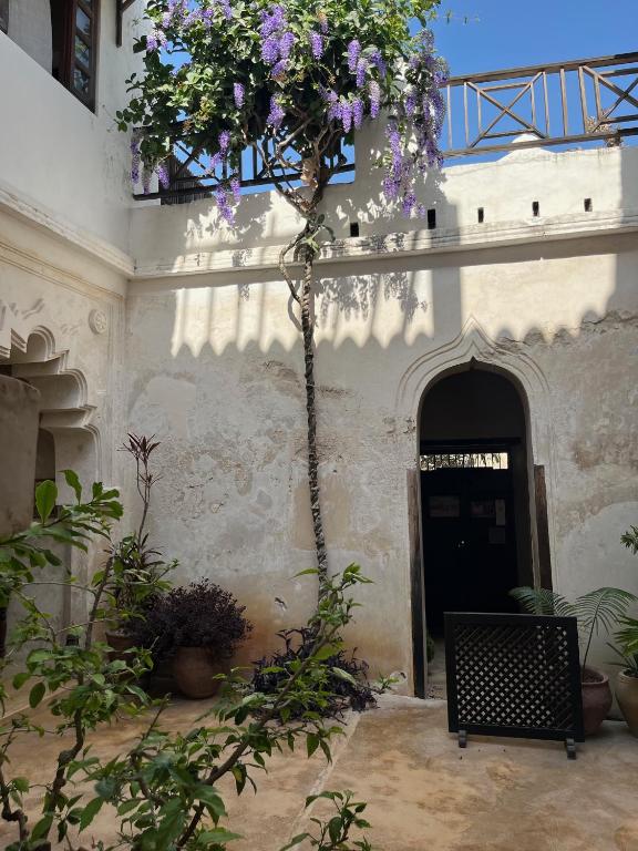 Foto dalla galleria di Subira House a Lamu