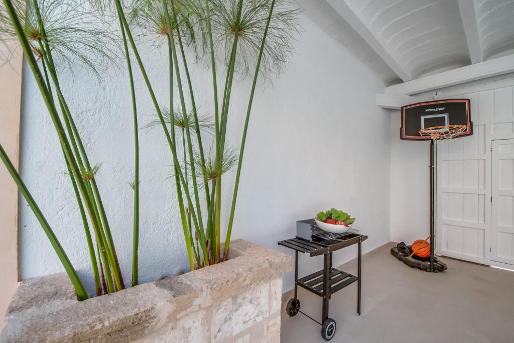 Fotografie z fotogalerie ubytování Ideal Property Mallorca - Can Cremat v destinaci Sa Pobla