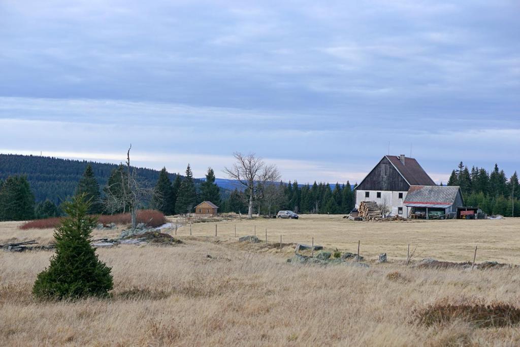 Příroda nedaleko apartmánu