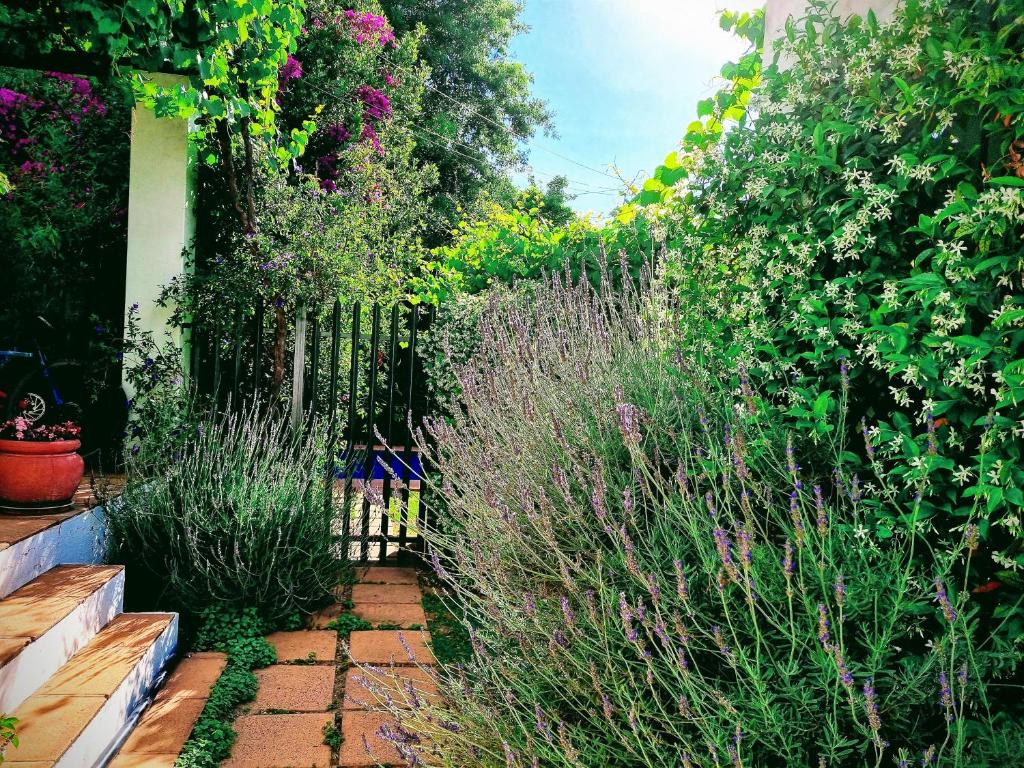 un giardino con alcune piante e una recinzione di Sunny Lane a Franschhoek