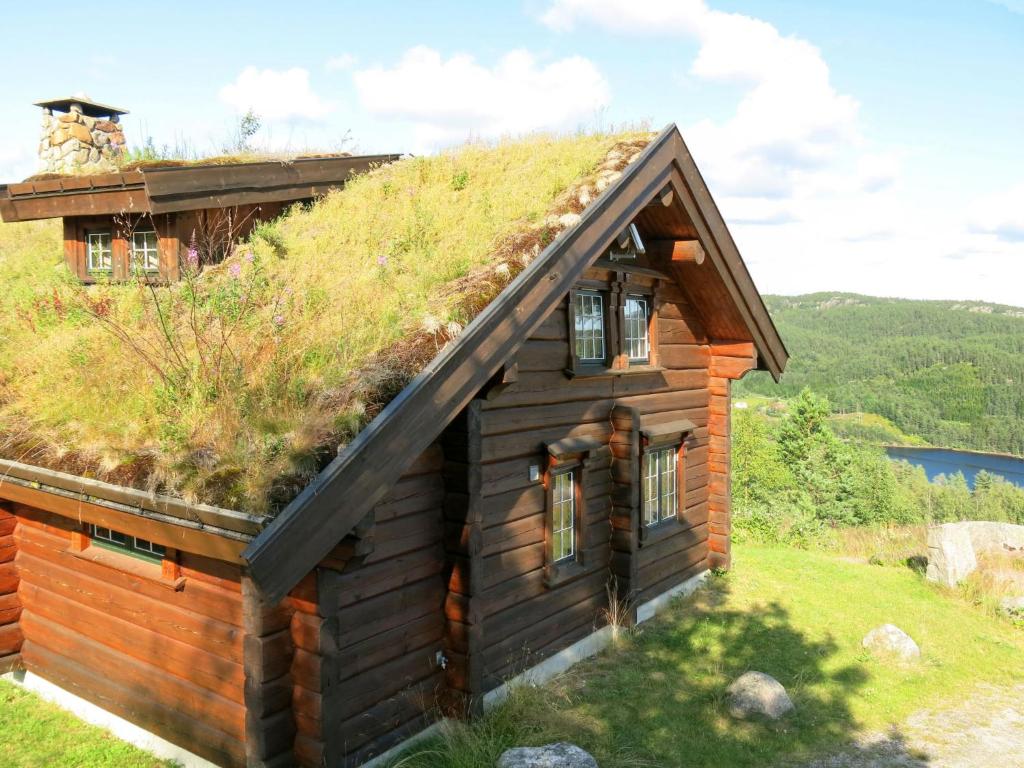 a log cabin with a grass roof at Holiday Home Steinbu - SOW063 by Interhome in Øyuvstad