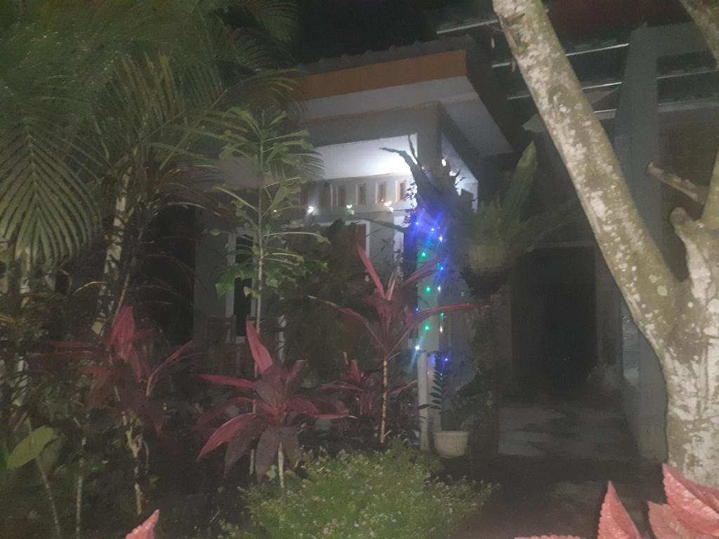 Zahrada ubytování Eltari Homestay