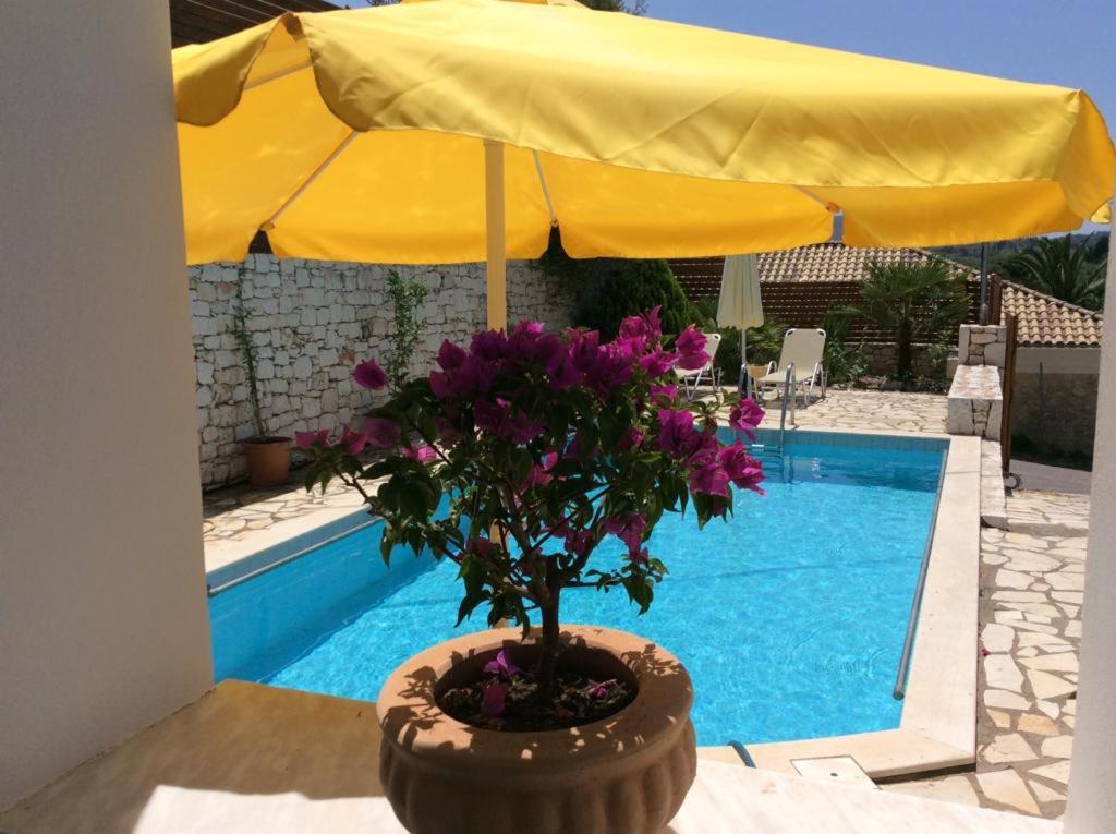 a plant in a pot next to a pool at Villa Syvros in Sívros