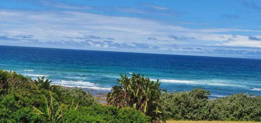 una playa con palmeras y vistas al océano en Beachfront Inn en Winterstrand