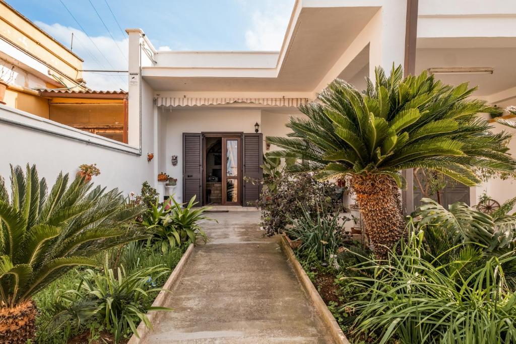 uma casa com uma palmeira em frente em Villa Salento em Cellino San Marco