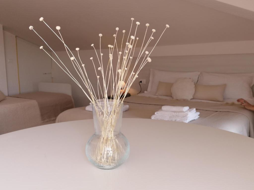 Bed da Anna - Estudio Con Terraza