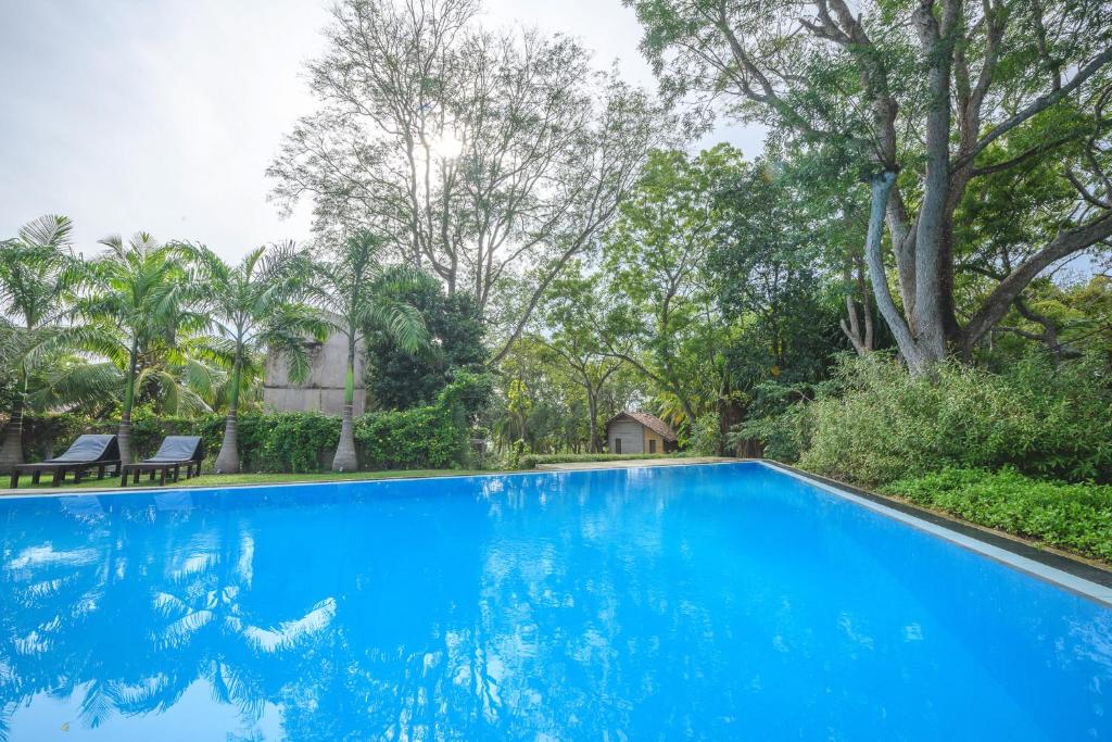 a blue swimming pool with trees in the background at Palm Paradise Cabanas & Villas Beach Resort in Tangalle
