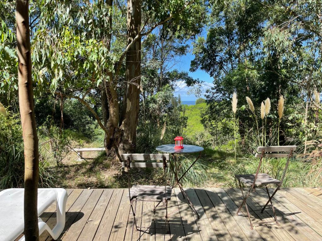 Fortin de Santa Rosa - Bungalow With Garden View