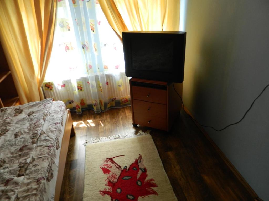 TV a/nebo společenská místnost v ubytování Cazare Vio