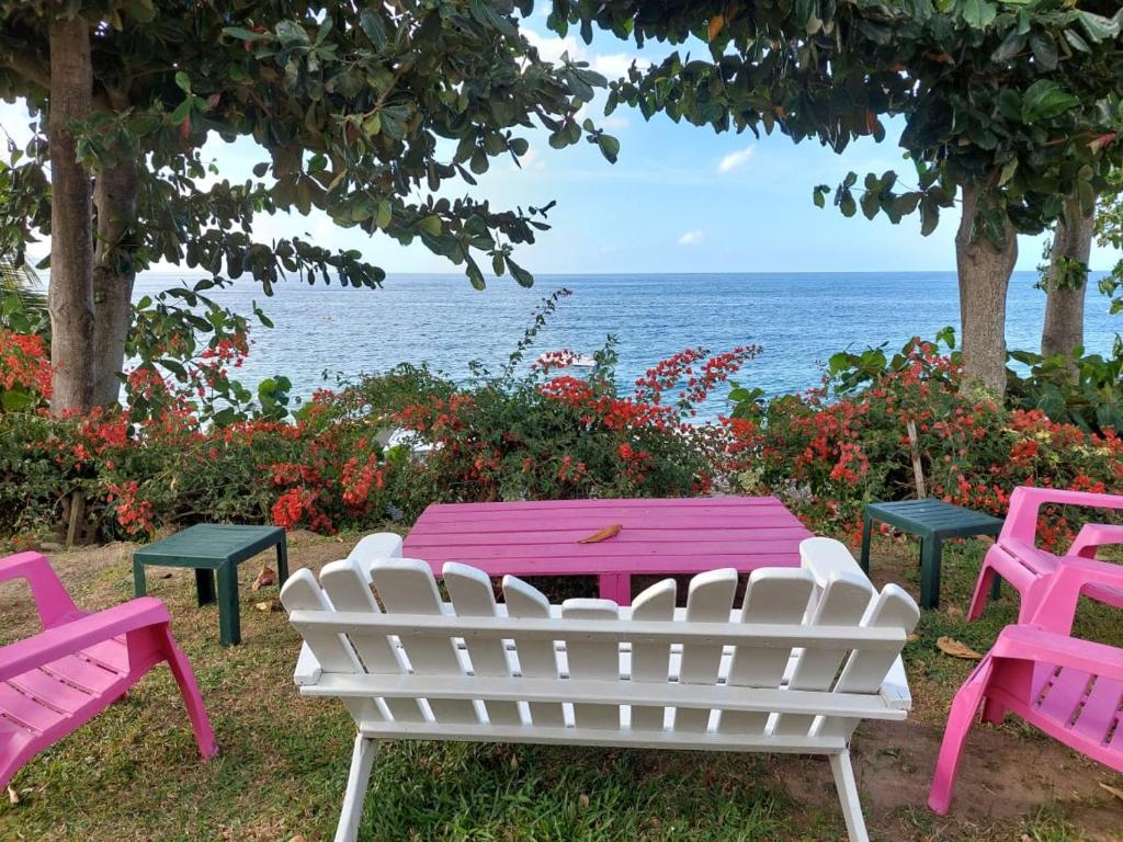 una mesa de picnic y sillas con el océano en el fondo en Villa des Galets, en Saint-Pierre