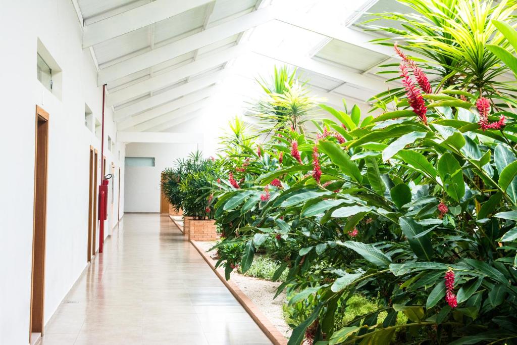a corridor in a greenhouse with plants at Hotel Vila Verde in Penápolis
