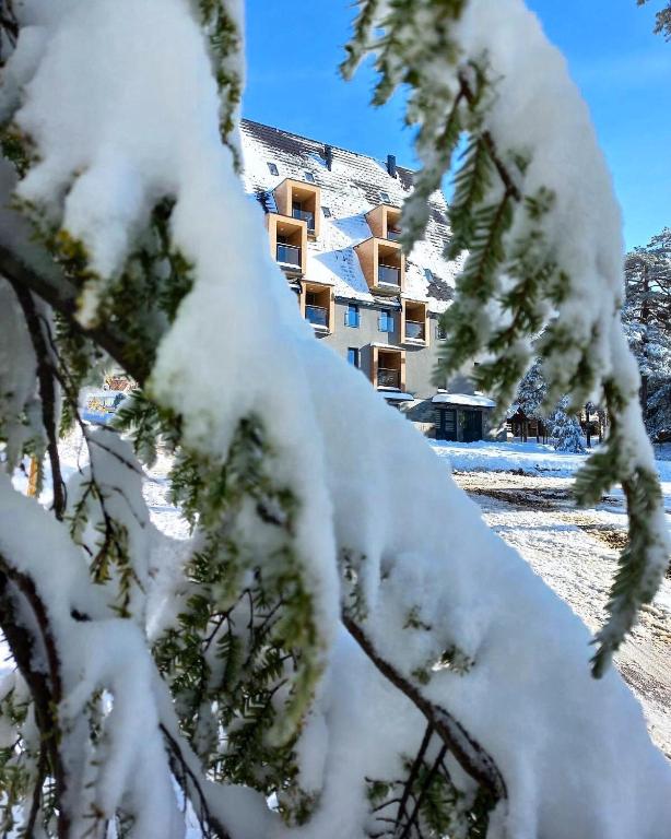 Apartman TRAG Divčibare tokom zime