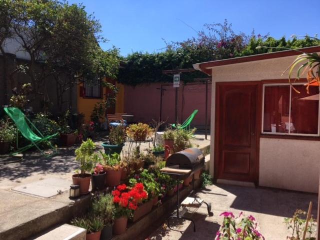 a garden with plants and flowers in a yard at Cabaña cerca de playa in Viña del Mar