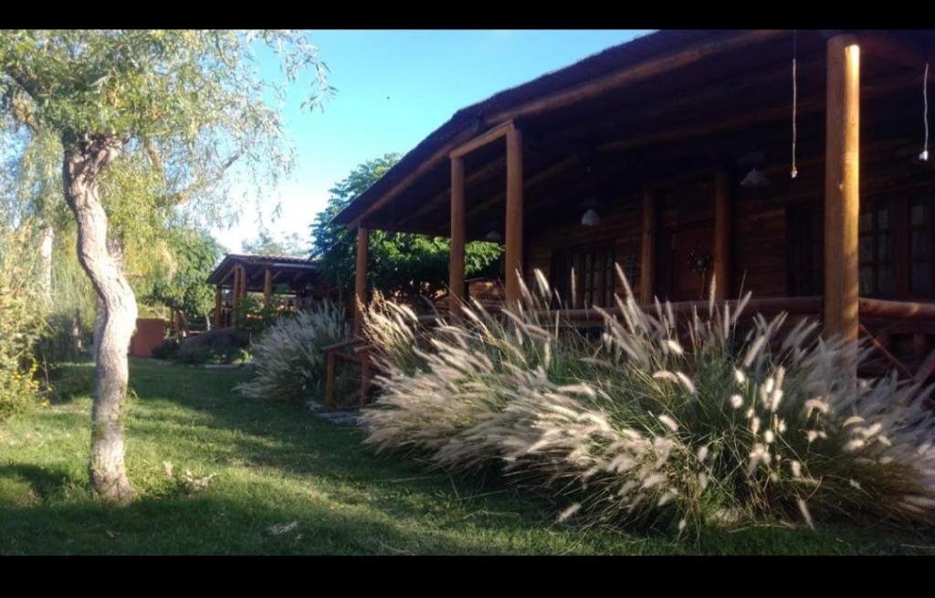 La noria cabañas