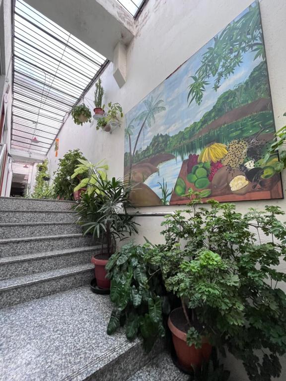 a hallway with potted plants and a painting on the wall at Hotel Toraryca in Belém