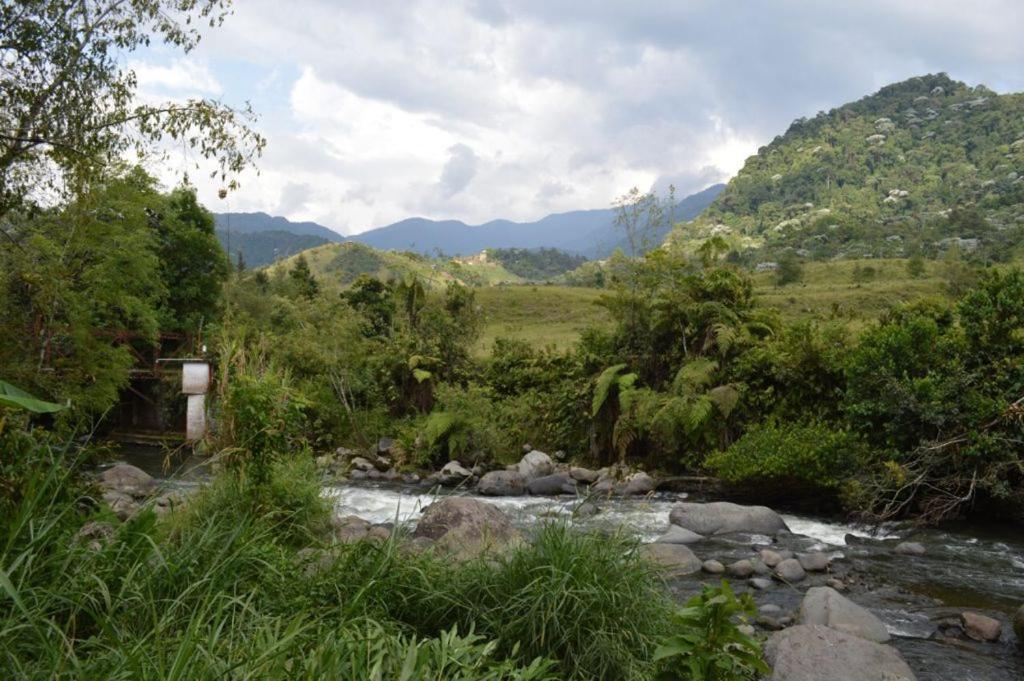 une rivière avec des rochers, des arbres et des montagnes en arrière-plan dans l'établissement Cabañita El Congolo-, à Pereira