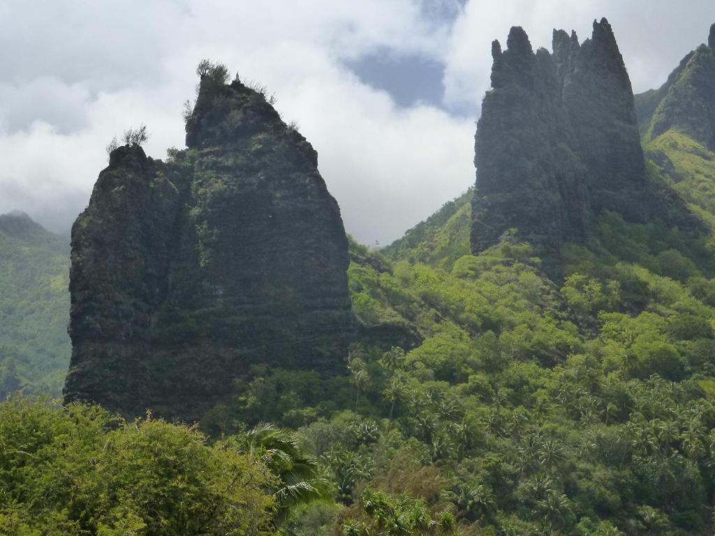 Fare Manutea, Nuku Hiva - photo 11 - Nuku Hiva, Polynésie