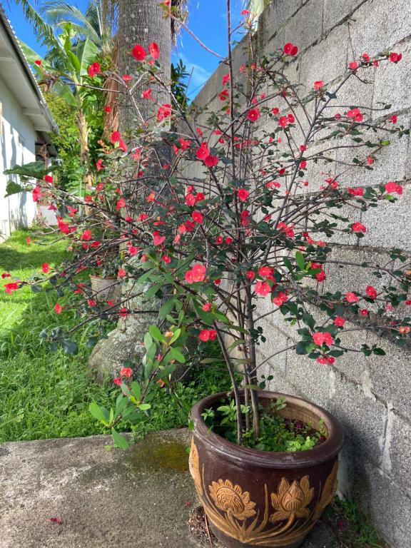 Zahrada ubytování Happyhome2