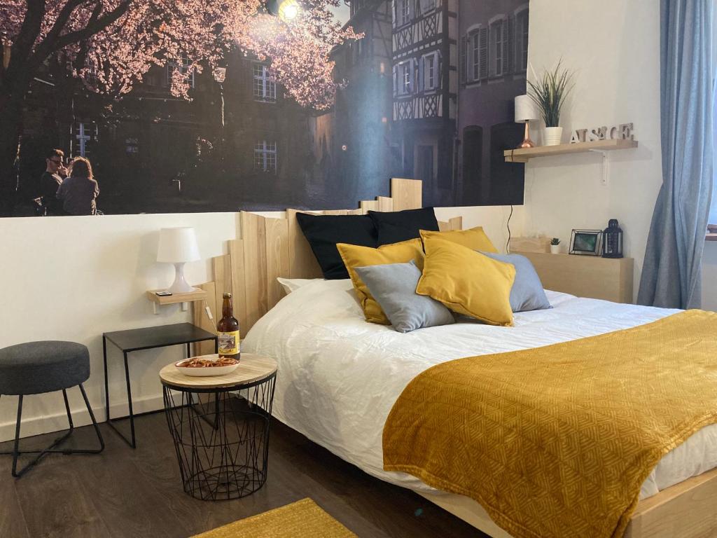 Le Garden Studio Centre-ville Mulhouse – photo 1