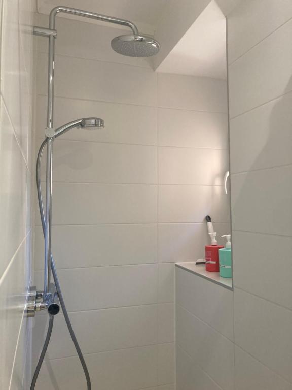 Le Garden Studio Centre-ville Mulhouse – photo 8