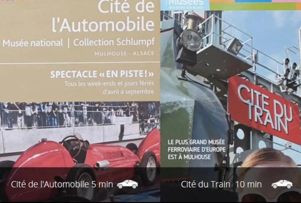 Le Garden Studio Centre-ville Mulhouse – photo 26
