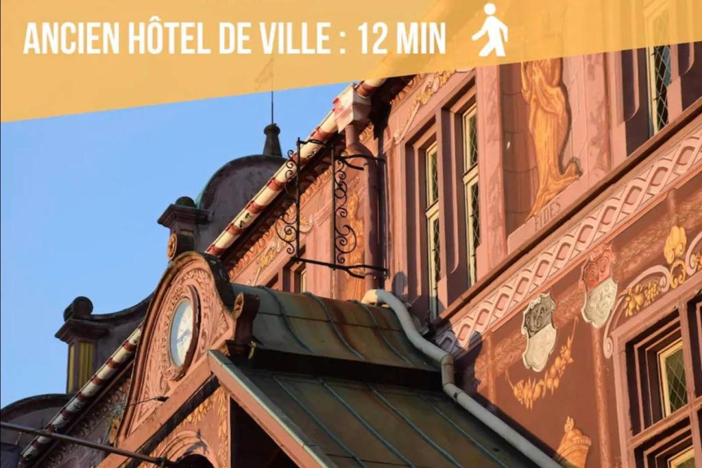 Le Garden Studio Centre-ville Mulhouse – photo 25