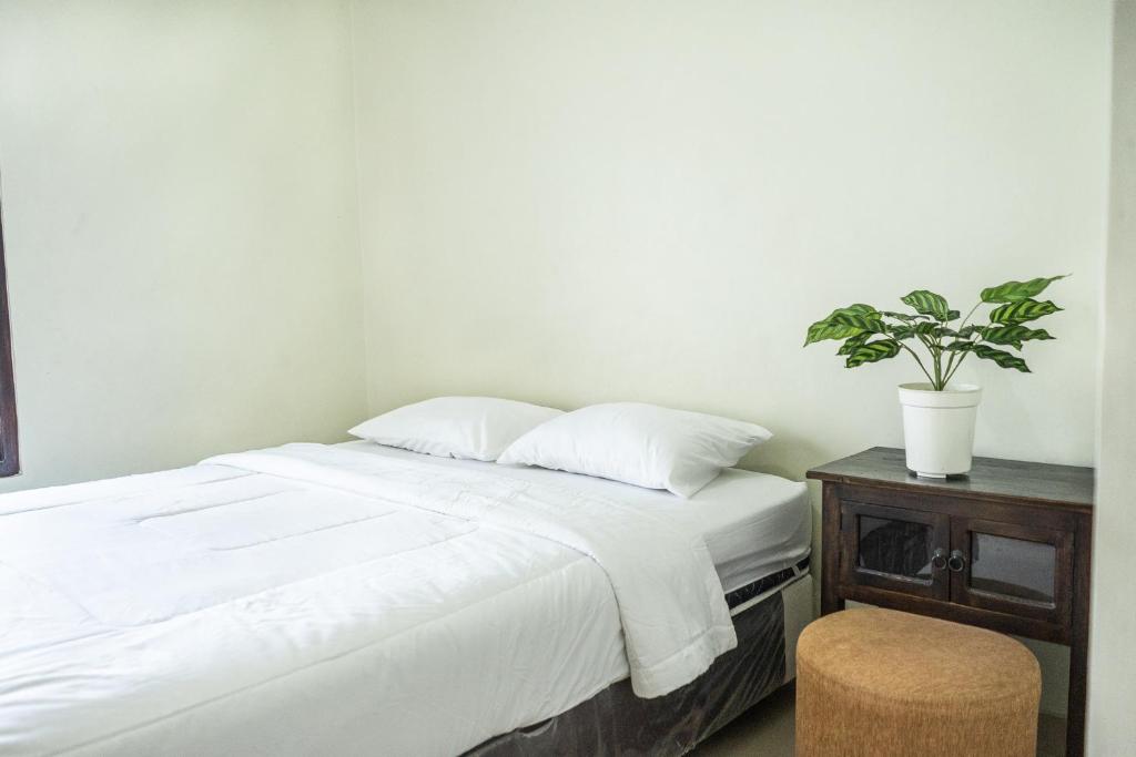 a bed with white sheets and a plant on a table at Gumitish Guest House Singaraja in Singaraja