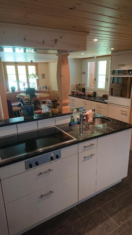 A kitchen or kitchenette at Alpenparadies Grindelwald