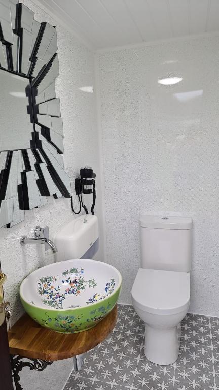 a bathroom with a toilet and a bath tub at Elysian Fields B&B in Helston