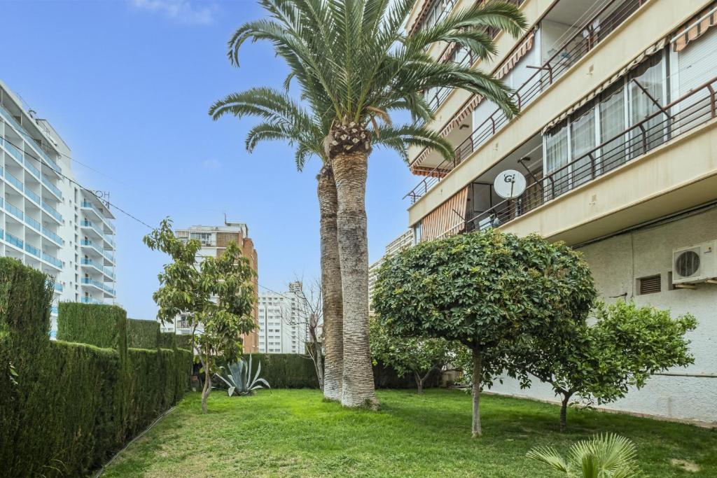 Piscis 17-2, Benidorm – Precios actualizados 2023