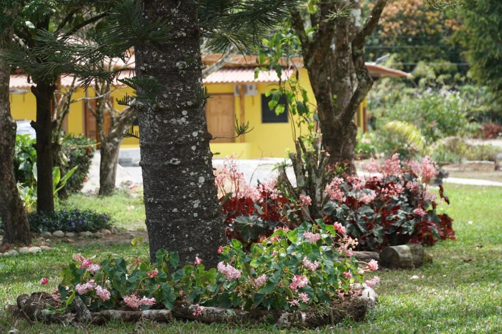 Zahrada ubytování El Valle Resort & Spa - Aguas Termales