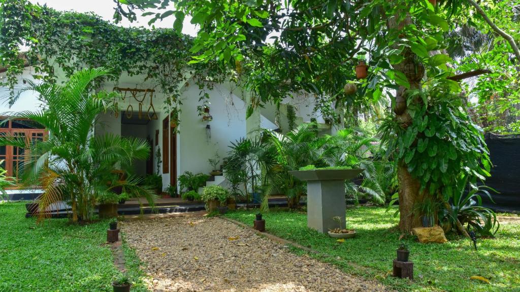 a garden in front of a house with trees at Menara Green Inn in Dambulla