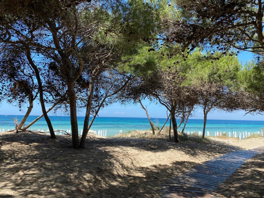 a group of trees on a beach with the ocean at La Fenice sulla spiaggia in Gallipoli