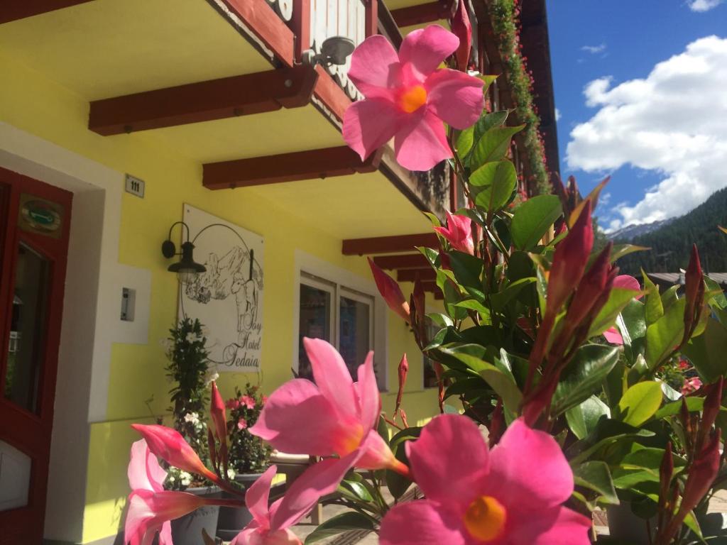 Gallery image of Fedaia Joy B&B in Canazei