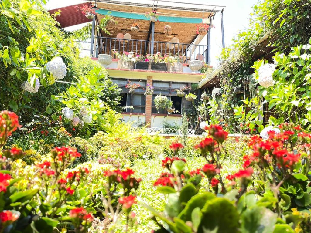 un jardín con flores rojas frente a un edificio en Hotel Casa Chapultepec, en Cobán