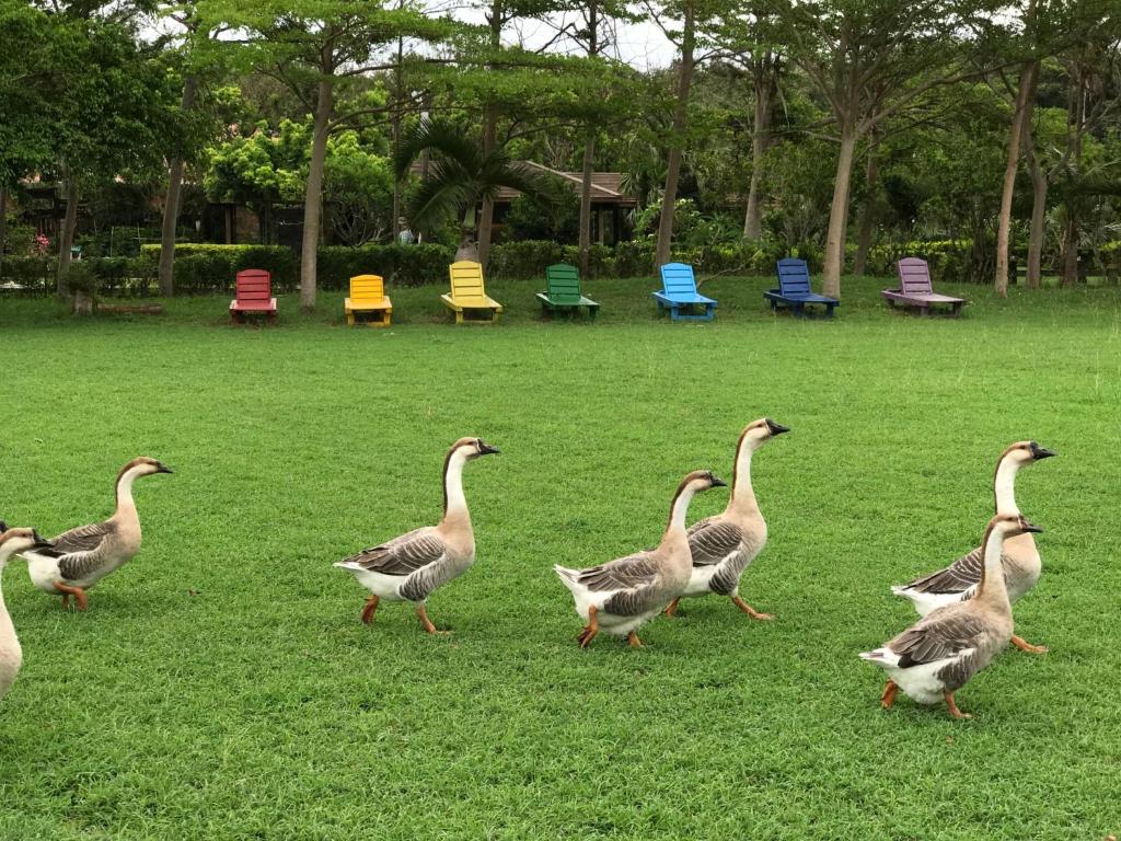 Gallery image of Kenting Tuscany Resort in Kenting