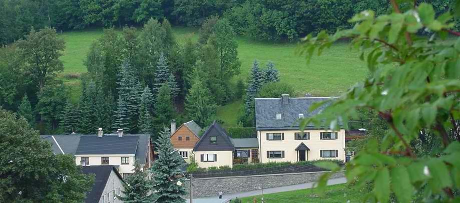 a group of houses in a field with trees at Ferienhaus Glöckner in Seiffen