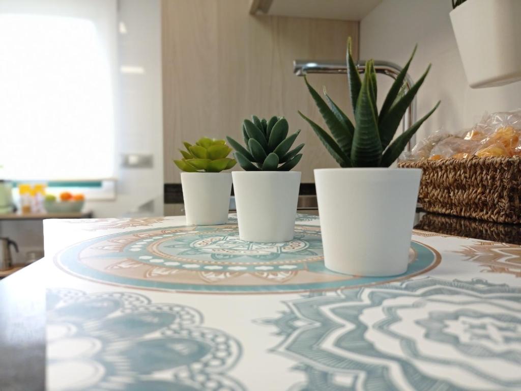 Night Day Dúplex - 13